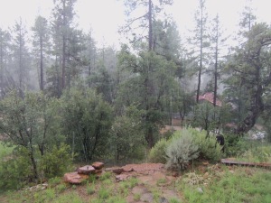 The monsoon brings welcome rain which is especially fun to watch from the front porch.